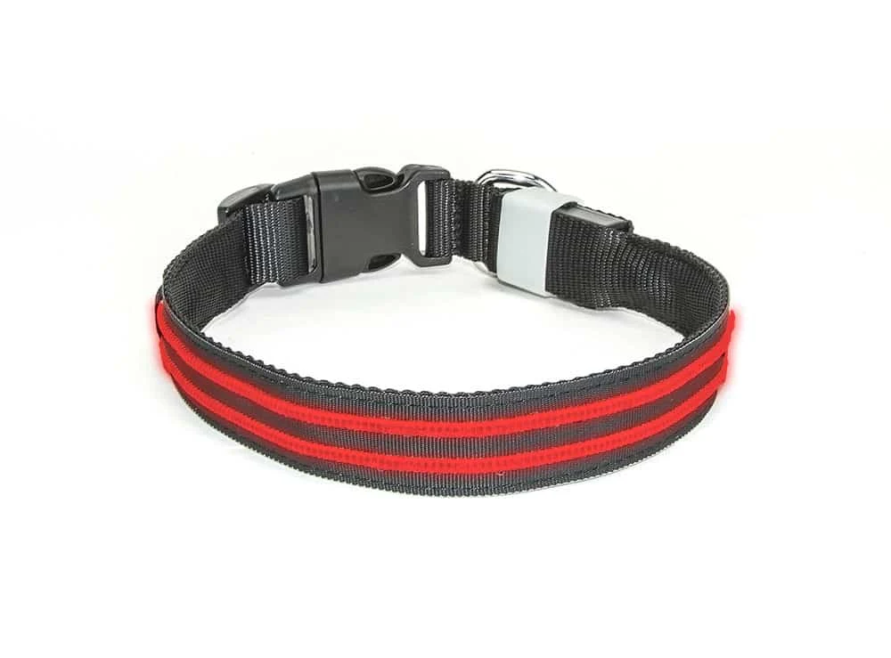 Led Halsband PX1 Rood - 50cm Hond