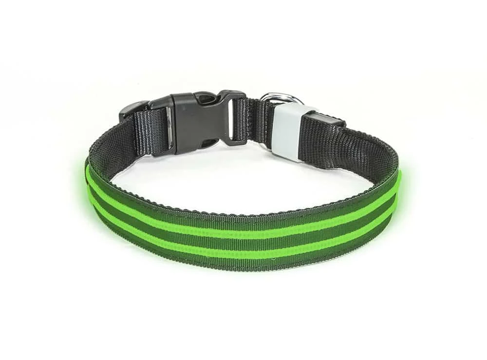 Led Halsband PX1 Groen - 40cm Hond