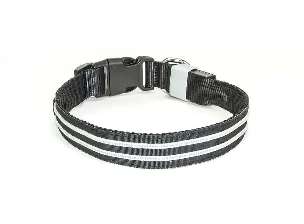 LED Halsband Waterproof Multicolor 50-60cm PX1+M Hilox