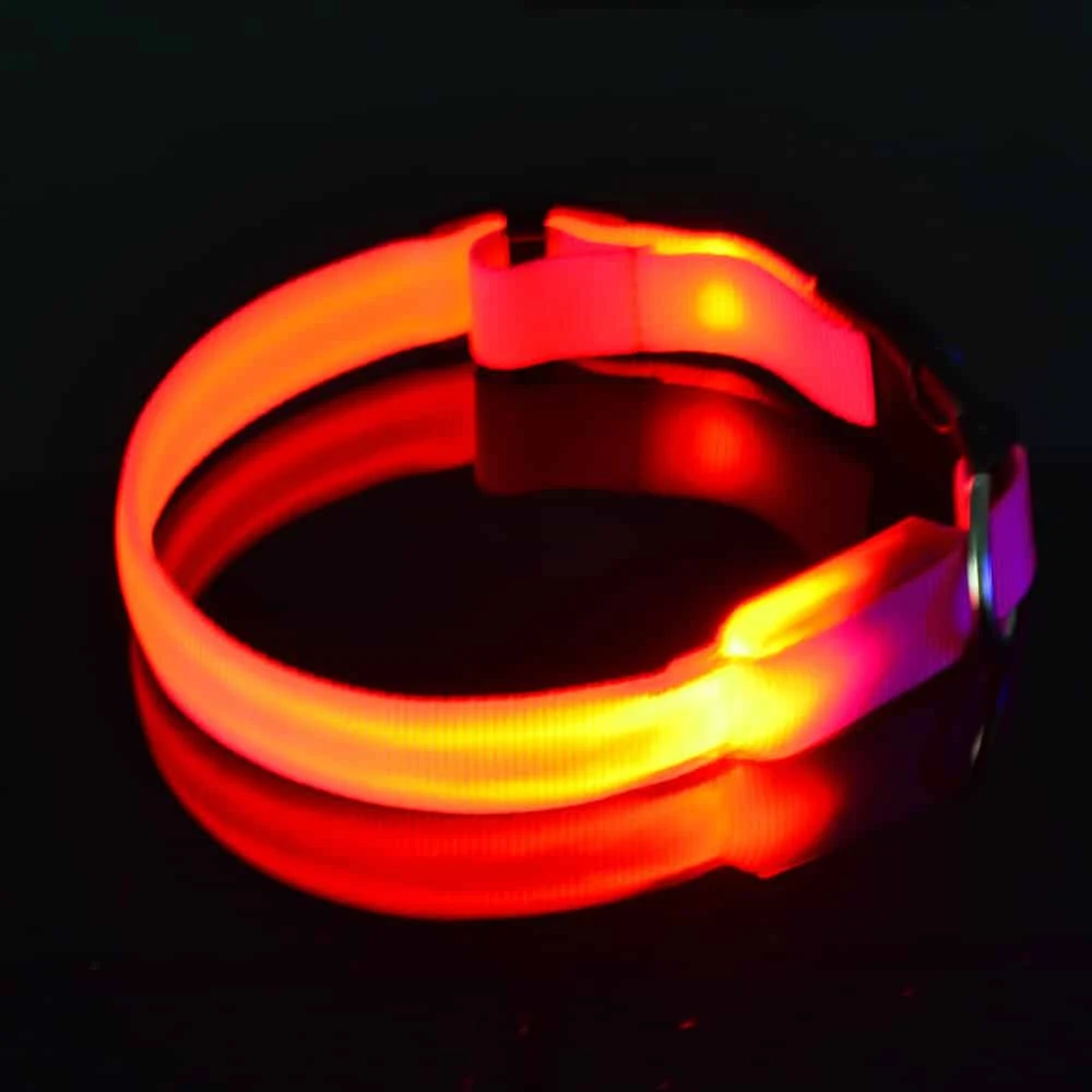 Led Halsband PX4 Oranje - 40cm Hond