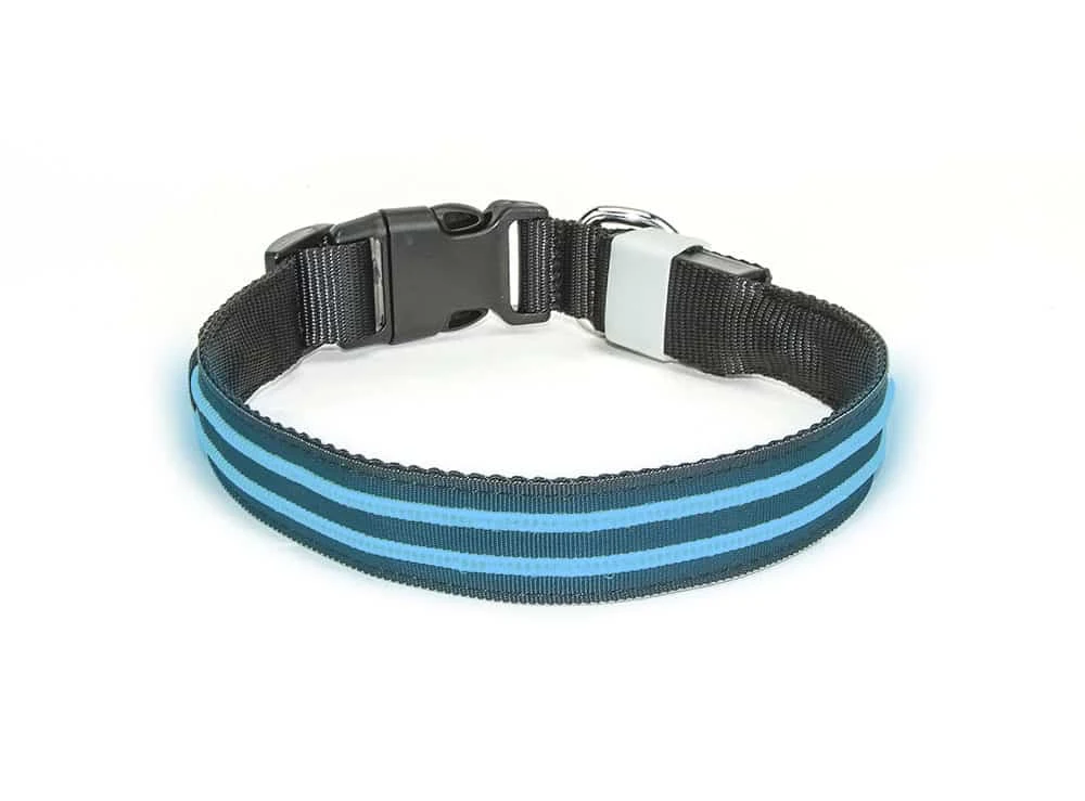 Led Halsband PX1 Blauw - 40cm Hond