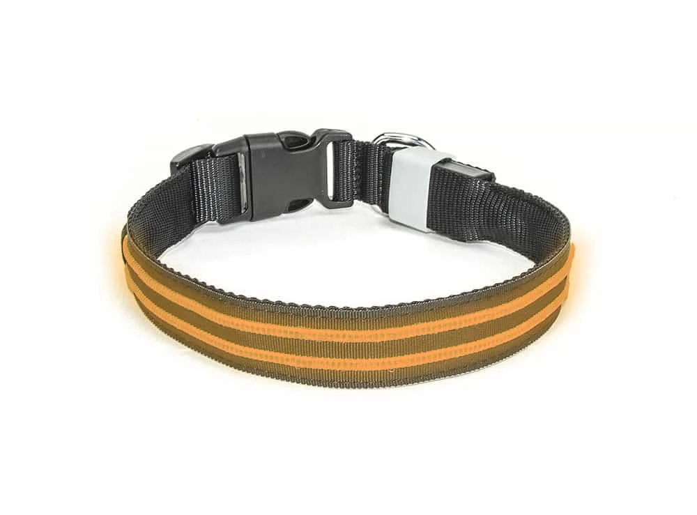 Led Halsband PX1 Oranje - 40cm Hond