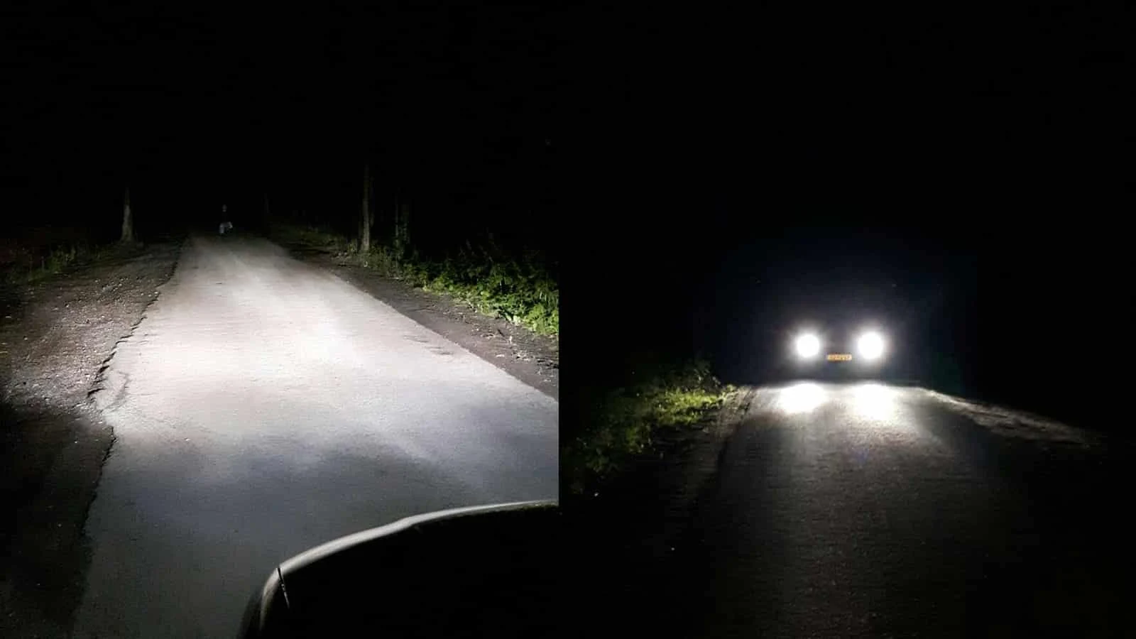 H7 Xenonlamp, Hilox Evolution