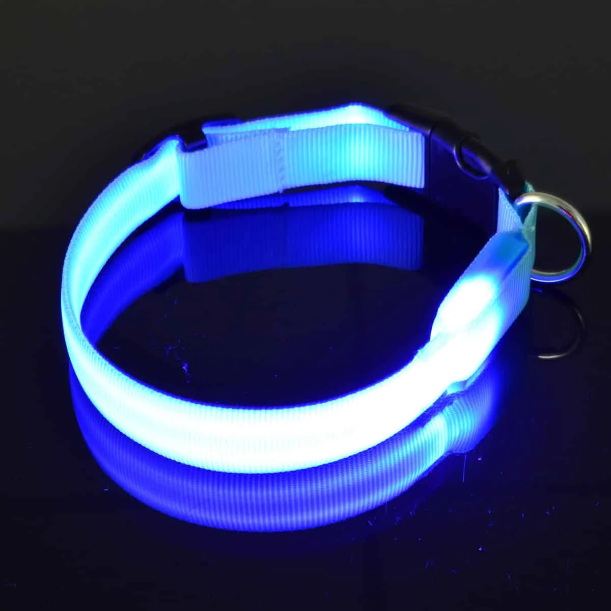 Led Halsband PX4 Blauw - 35cm Hond