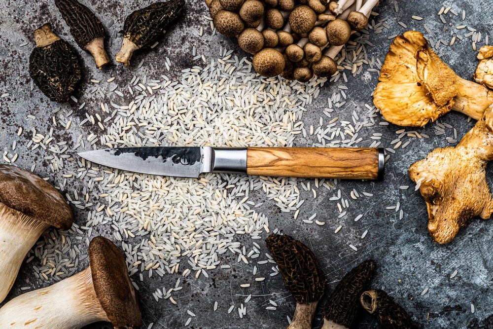 Olive Forged - Schilmes