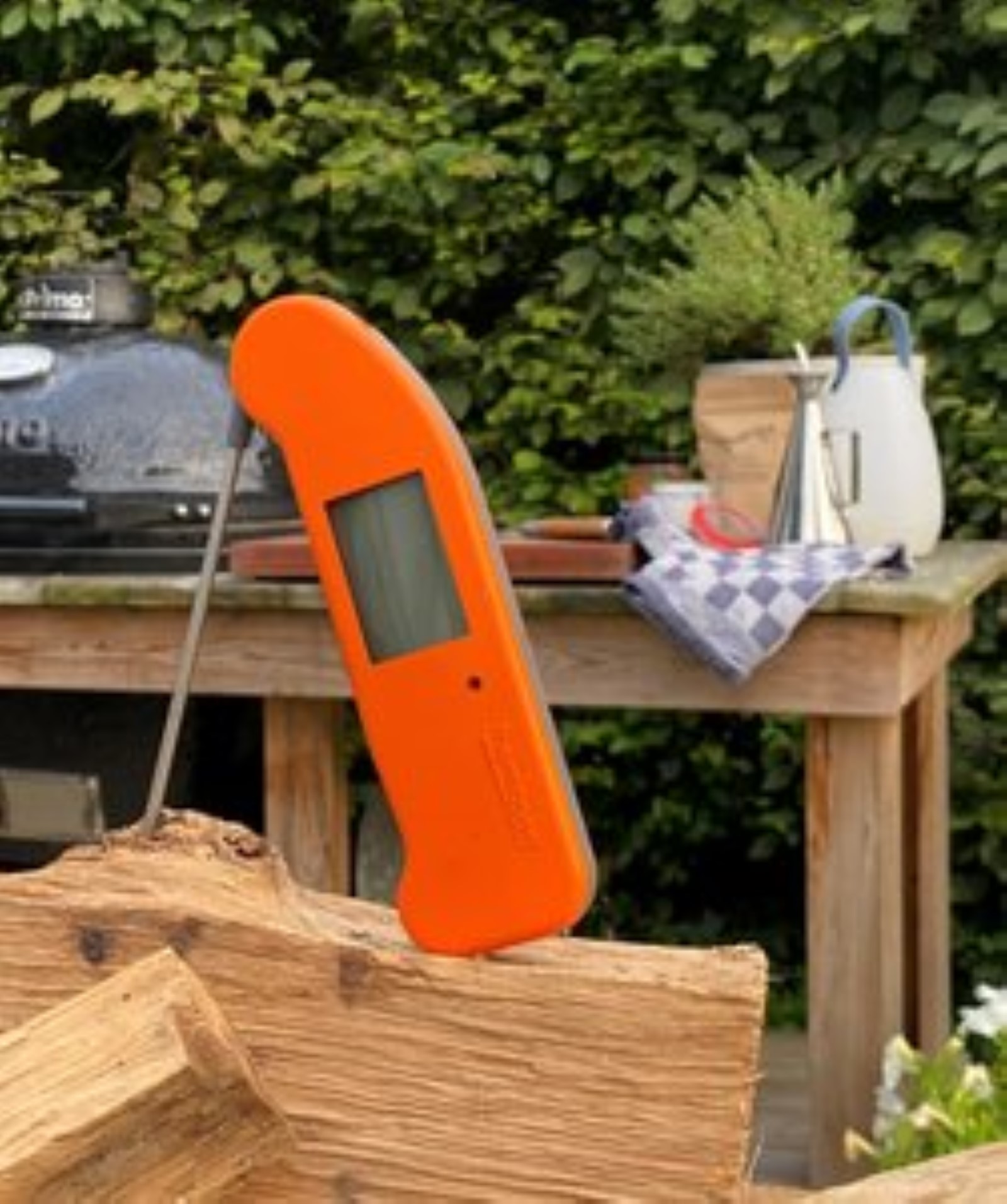 Thermapen Classic Zwart